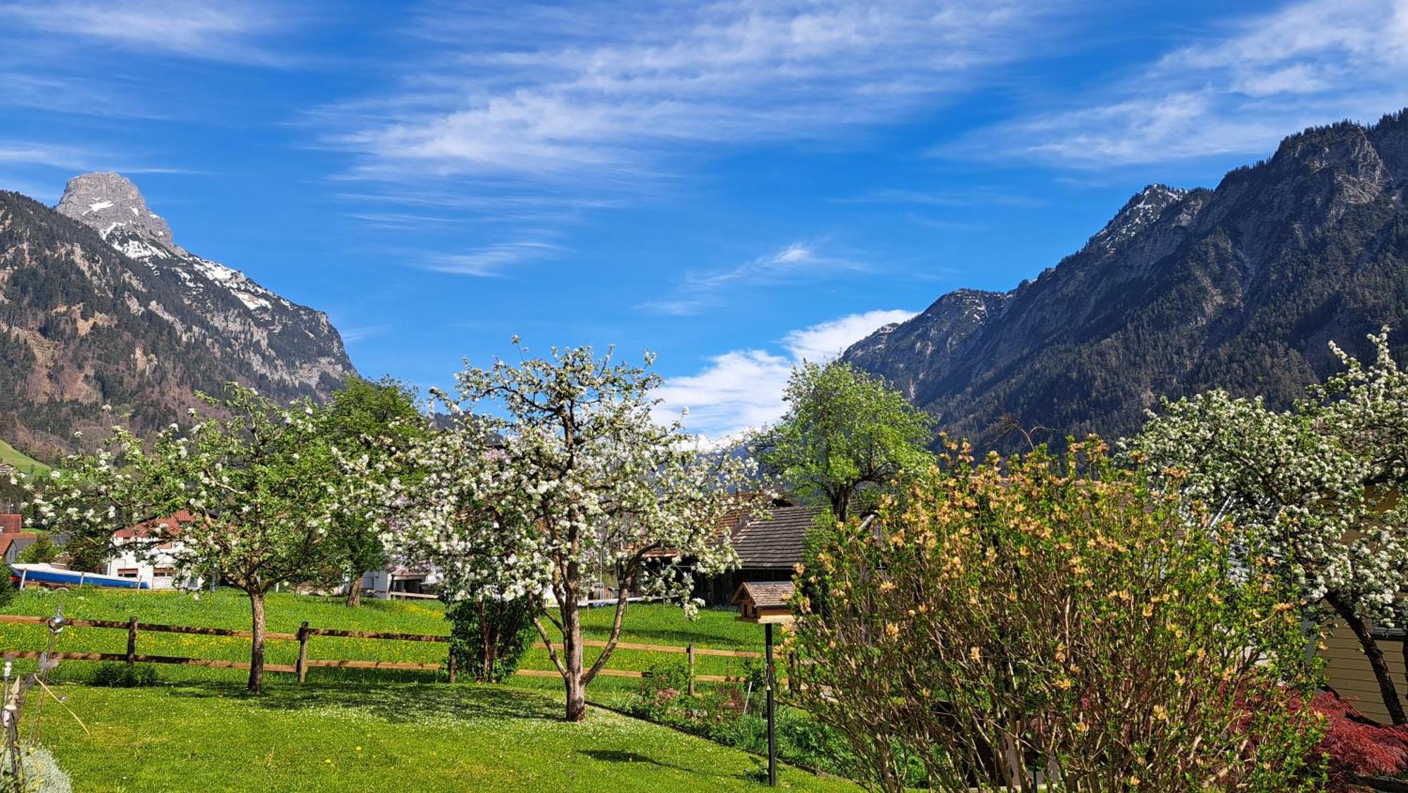 Baers Mountain Stay Ausserbraz Innerbraz Luaran gambar